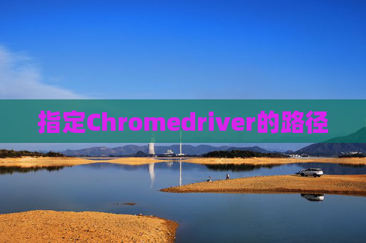 指定Chromedriver的路径