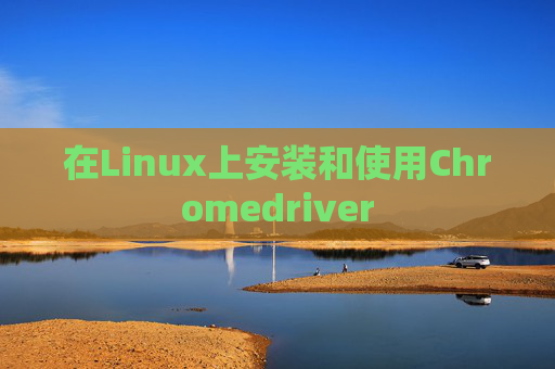 在Linux上安装和使用Chromedriver